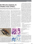 Science Publication on W N S